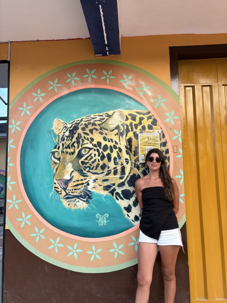 Tarapoto pintura tigre